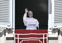 Pope to Have Surgery to Remove Small Lung Growth Pope to undergo surgery to remove small growth on lung