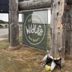 Tributes pour in for man fatally mauled by tiger at UK wildlife park Tributes paid to man killed by tiger at UK wildlife park