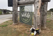 Tributes pour in for man fatally mauled by tiger at UK wildlife park Tributes paid to man killed by tiger at UK wildlife park