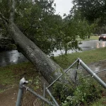 Isaias weakens after landfall in Florida and Alabama, causing widespread damage Isaias weakens after making landfall in Florida, Alabama