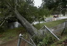 Isaias weakens after landfall in Florida and Alabama, causing widespread damage Isaias weakens after making landfall in Florida, Alabama