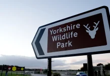 UK wildlife park stays closed after man killed in tiger attack UK wildlife park remains shut as man dies in tiger attack