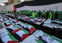 WFP to reduce Gaza food assistance for 500,000 as funding shortfall bites WFP to cut Gaza aid for 500,000 amid funding crisis