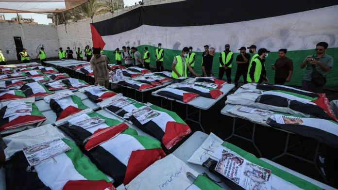 WFP to reduce Gaza food assistance for 500,000 as funding WFP to cut Gaza aid for 500,000 amid funding crisis