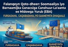 Tallaabo Taariikhi ah: Soomaaliya oo Loo Ogolaaday Dhoofinta Canshuur-La’aanta ah ee Suuqa Yurub Tallaabo Taariikhi ah: Soomaaliya oo Loo Ogolaaday Dhoofinta Canshuur-La'aanta ah ee Suuqa Yurub