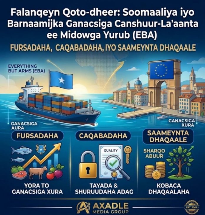 Tallaabo Taariikhi ah: Soomaaliya oo Loo Ogolaaday Dhoofinta Canshuur-La'aanta ah ee Suuqa Yurub